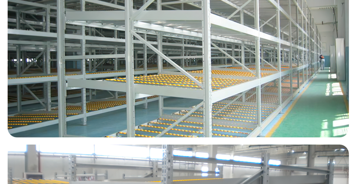 BB电子·(中国)首页