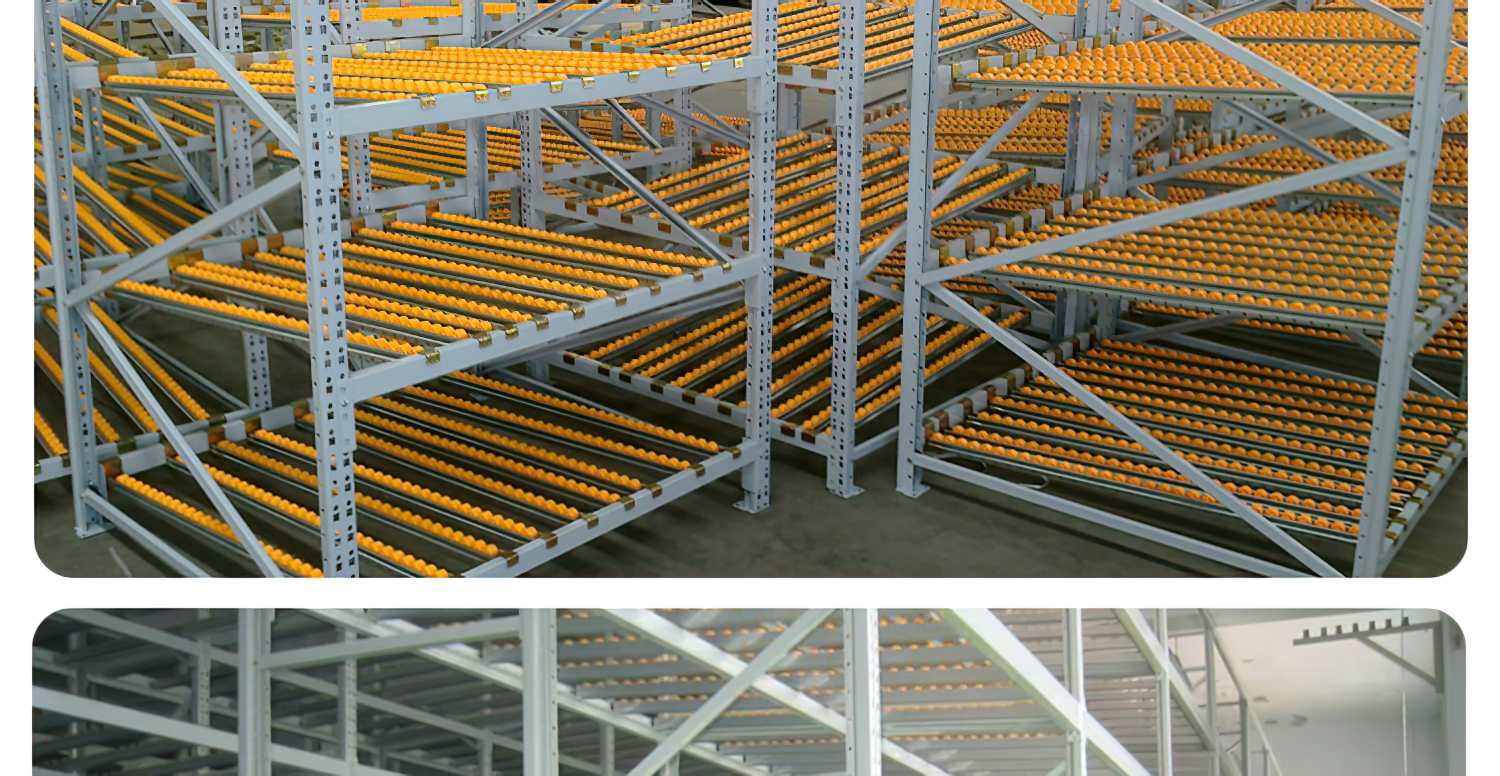 BB电子·(中国)首页